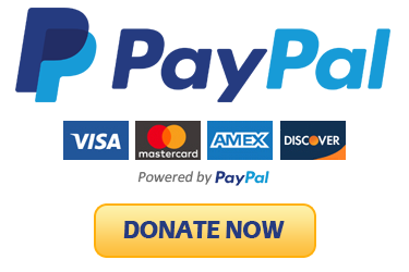 PayPal Donate Now